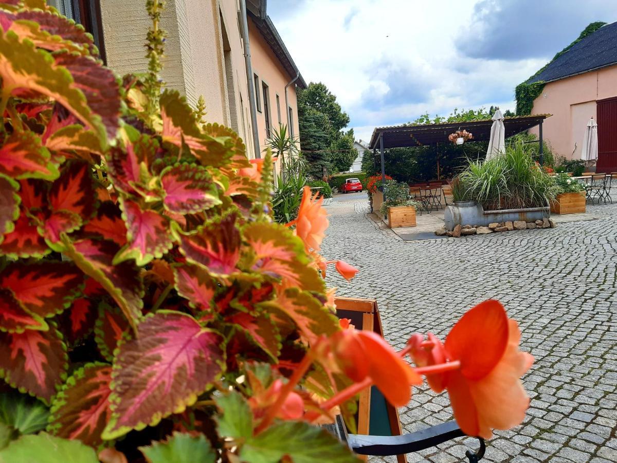 Reichenberg  Hotel "Pension Marlis" Garni מראה חיצוני תמונה