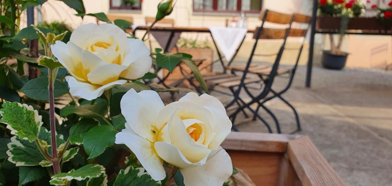 Reichenberg  Hotel "Pension Marlis" Garni מראה חיצוני תמונה