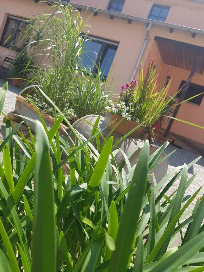 Reichenberg  Hotel "Pension Marlis" Garni מראה חיצוני תמונה